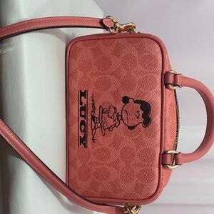 Coach Coral Lucy Crossbody Bag